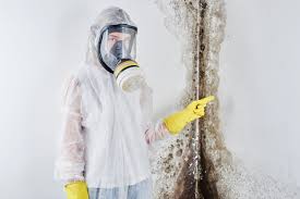 Best Attic Mold Removal  in Rio Vista, TX